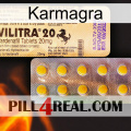 Karmagra new06